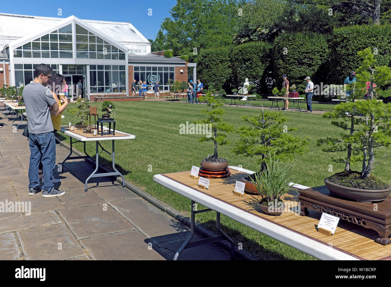 Visitors peruse the summer 2019 Cleveland Bonsai Club show at the