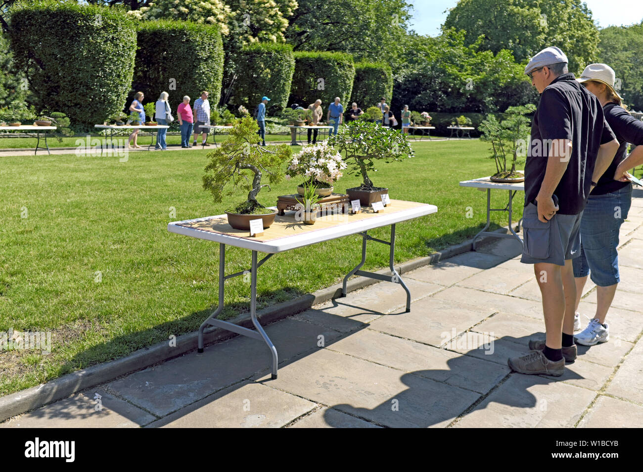 The Cleveland Bonsai Club Summer Show at the Cleveland Greenhouse in