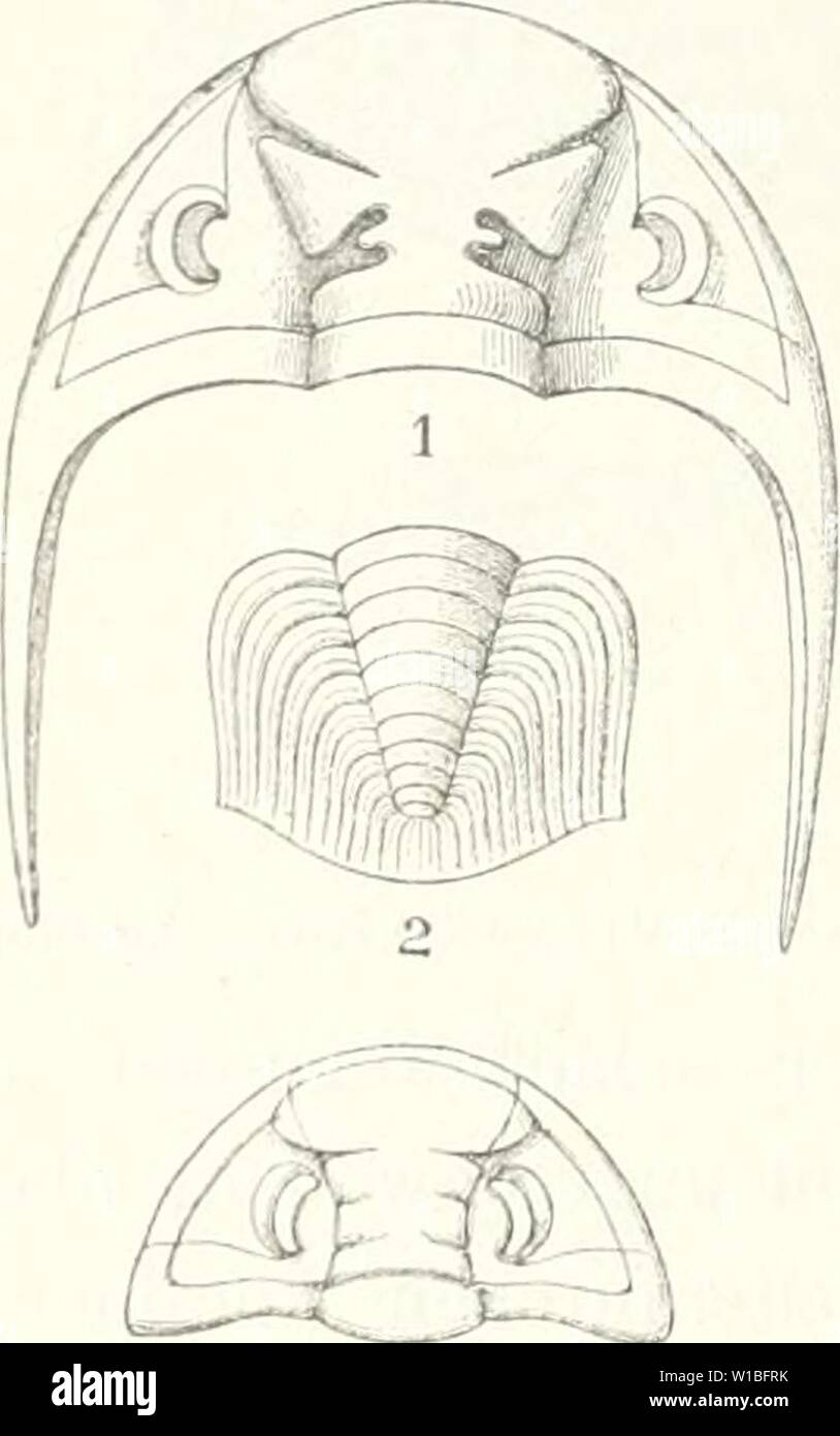Mcoy S High Resolution Stock Photography And Images Alamy