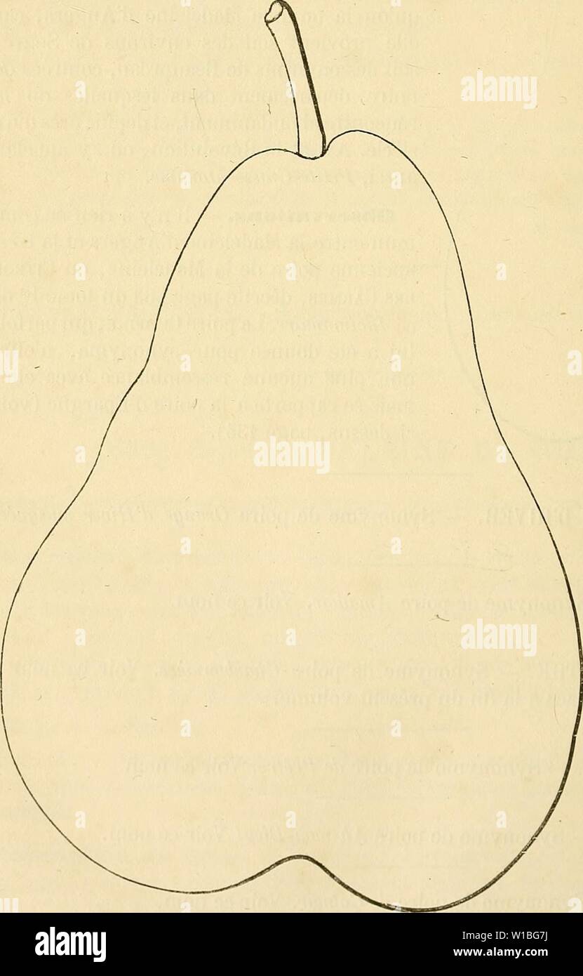 Pepi 2 hi-res stock photography and images - Alamy