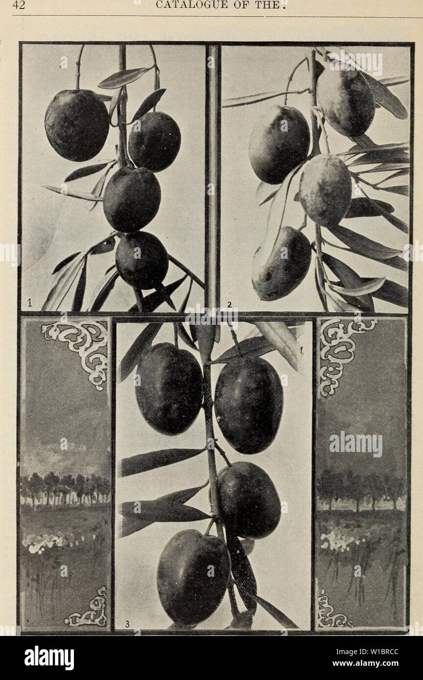 1928 45 hi-res stock photography and images - Page 3 - Alamy