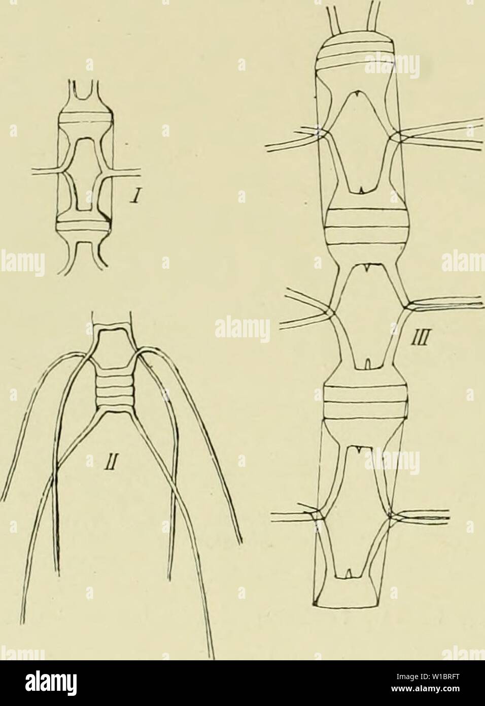 1935 38 Hi Res Stock Photography And Images Page 4 Alamy