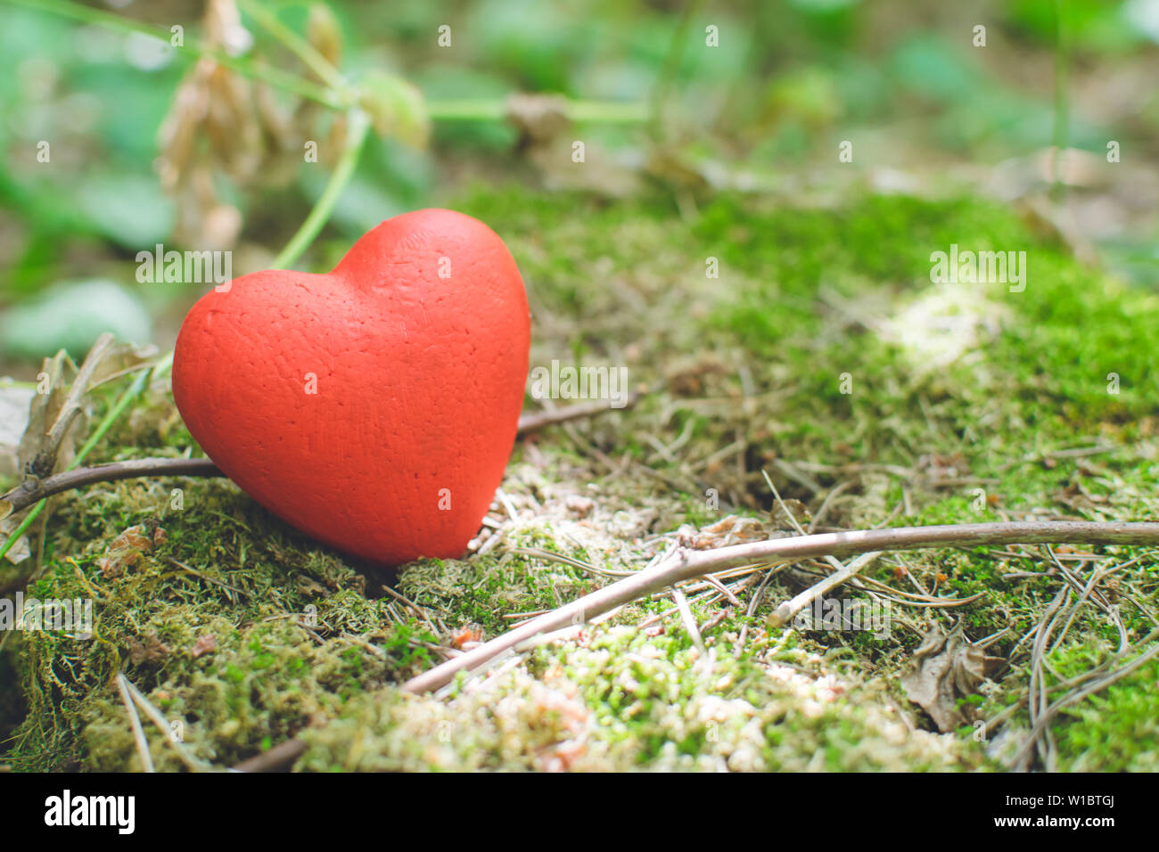 Red Decorative Heart On An Old Tree Stump With Moss Love Concept
