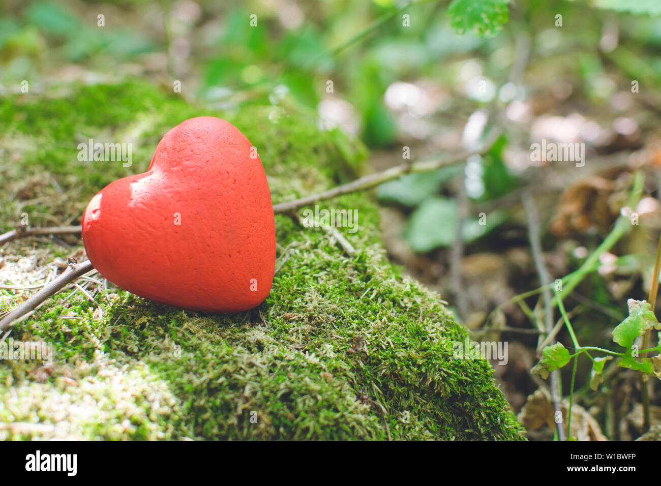 Love concept. Red decorative heart in the forest. Stock Photo