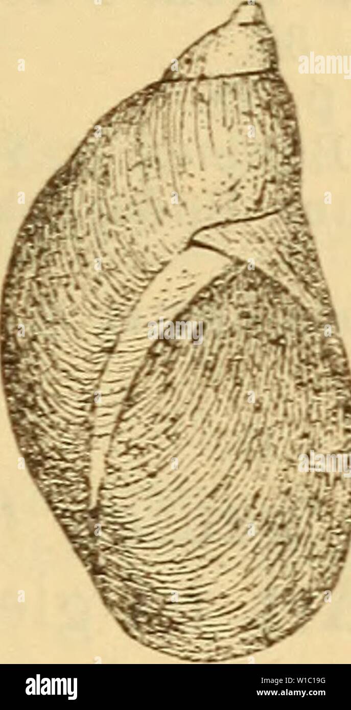 Die Finger tief in ihrer saftigen Grotte Die Finger tief in ihrer saftigen Grotte