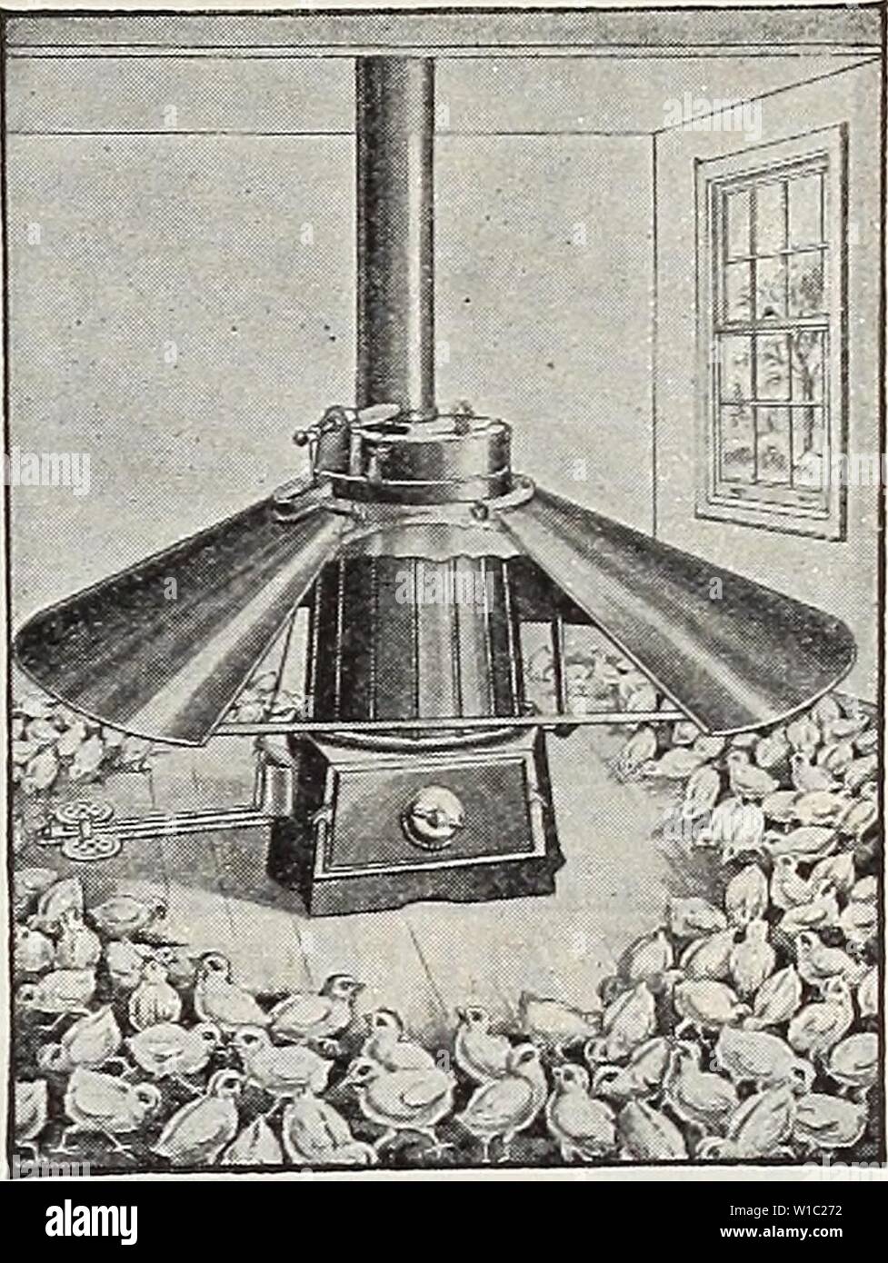 Coai High Resolution Stock Photography And Images Alamy