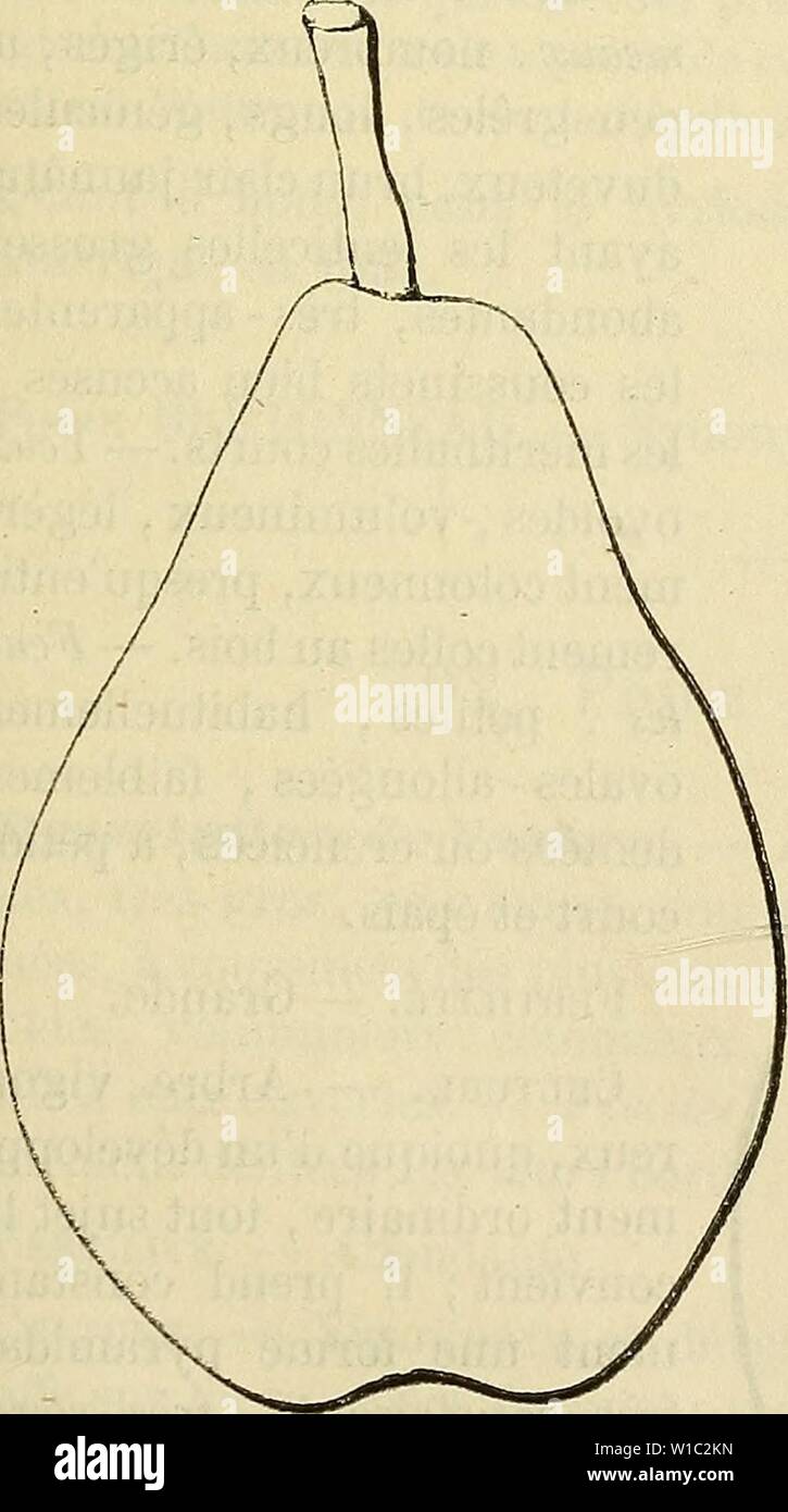 9o High Resolution Stock Photography And Images Alamy