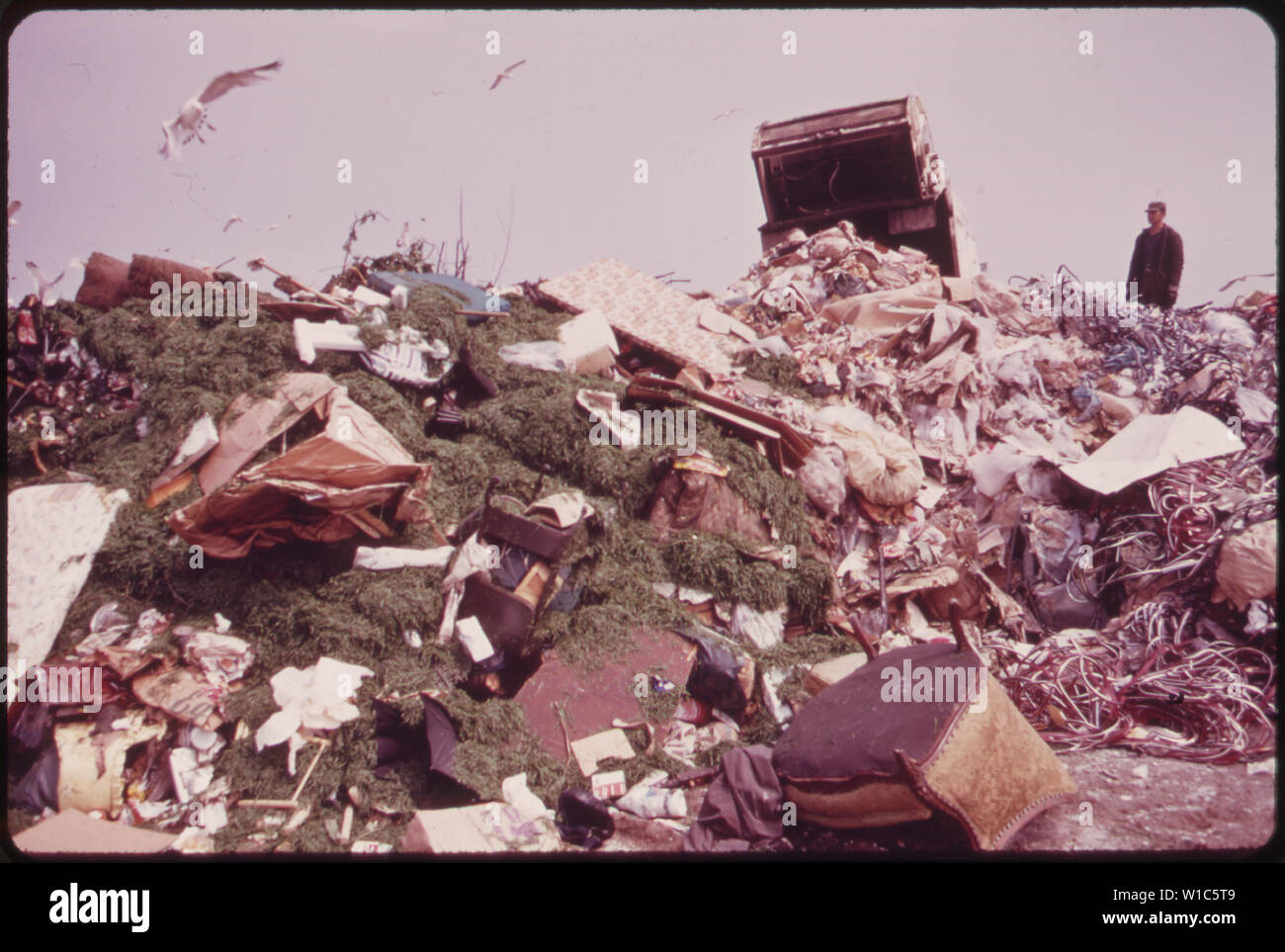 DUMPING GARBAGE IN LANDFILL OPERATION ON JAMAICA BAY INCREASED WATER
