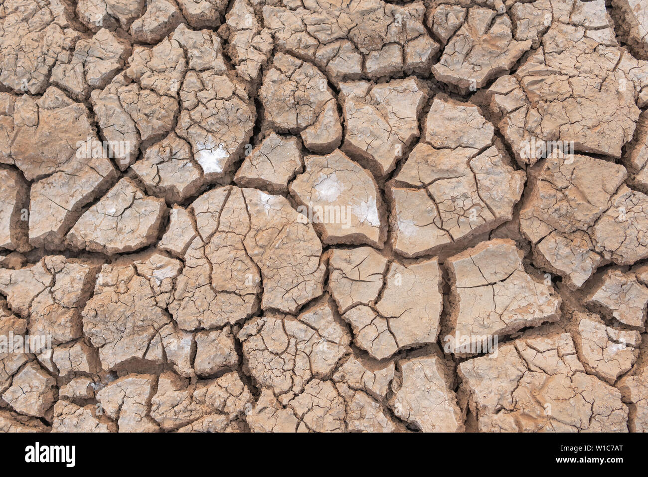 No Hot Water >> Drought The Ground Cracks No Hot Water Lack Of Moisture Top No Hot Water >> Drought The Ground Cracks No Hot Water Lack Of Moisture Top