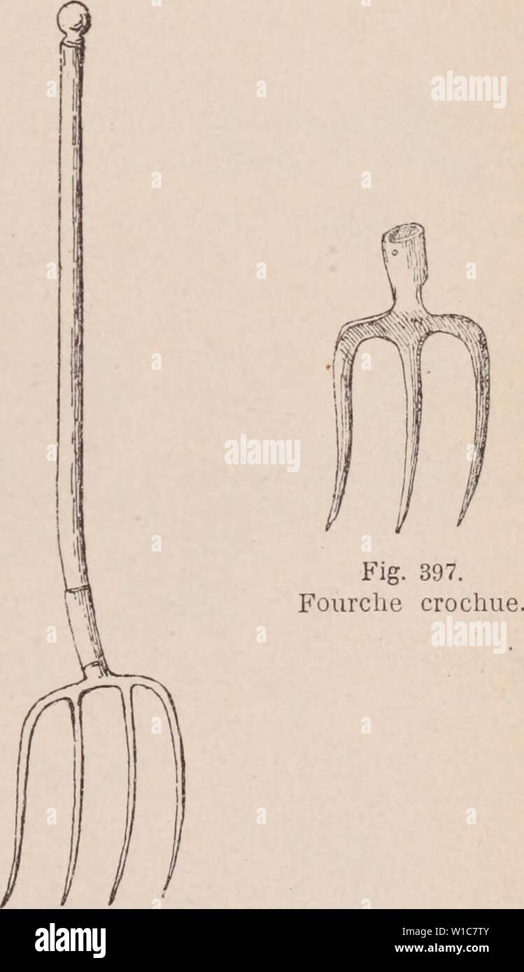Archive image from page 558 of Dictionnaire d'horticulture illustré  par. Dictionnaire d'horticulture illustrÃ / par D. Bois   prÃface de Maxime Cornu   avec la collaboration de E. AndrÃ ... [et al.]. . dictionnairedhor00bois Year: 1893  FOUGÃRES. 55 1 â FOURCHE. tempÃrÃes que dans les contrÃes les plus chaudes. Mais c'est dans les rÃgions tropicales qu'elles acquiÃ¨rent leur plus grand dÃveloppement, au point de devenir arborescentes. Il en rÃsulte qu'on les a groupÃes, pour leur culture, en Fou- gÃ¨res de plein air, de serre tempÃrÃe et de serre chaude. Certaines espÃ¨ces de plein air ne s'a Stock Photo