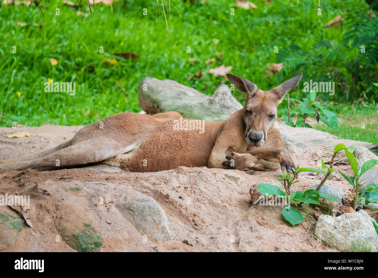 Shaxsiy yashirin kamera video