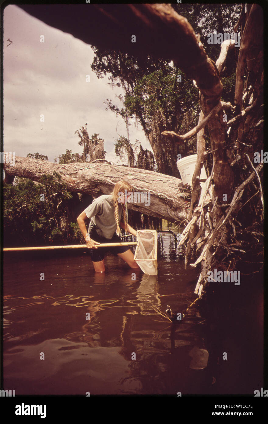 epa-gulf-breeze-laboratory-field-trip-to-tom-king-bayou-dana-beth