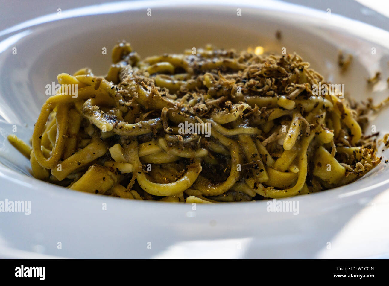 black truffle sauce fresh tagliolini noodle pasta, original italian