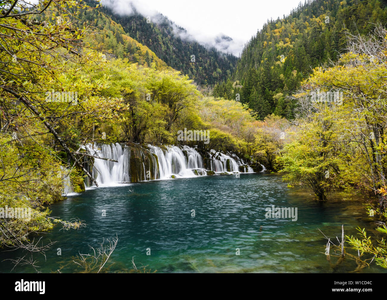 Arrow Bamboo Waterfall at Jiuzhaigou Sichuan, China before the devastating earthquake in 2017. Stock Photo