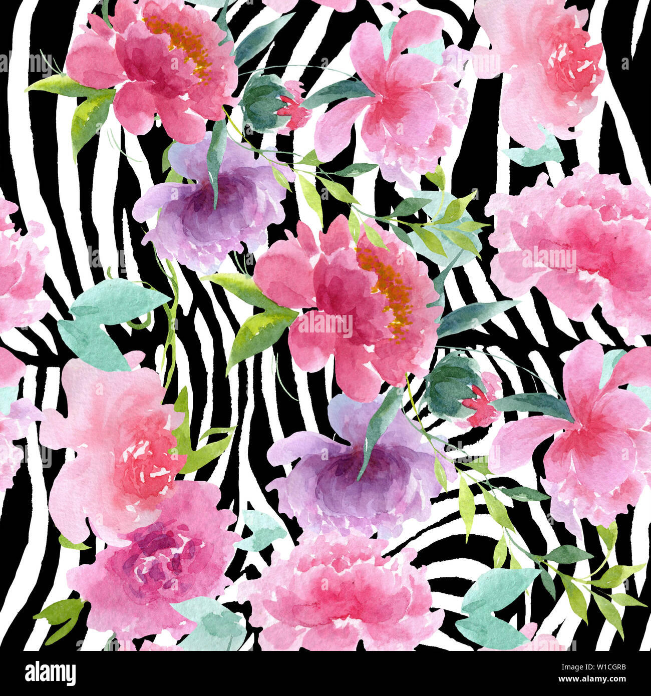 Peony floral botanical flowers. Watercolor background illustration set