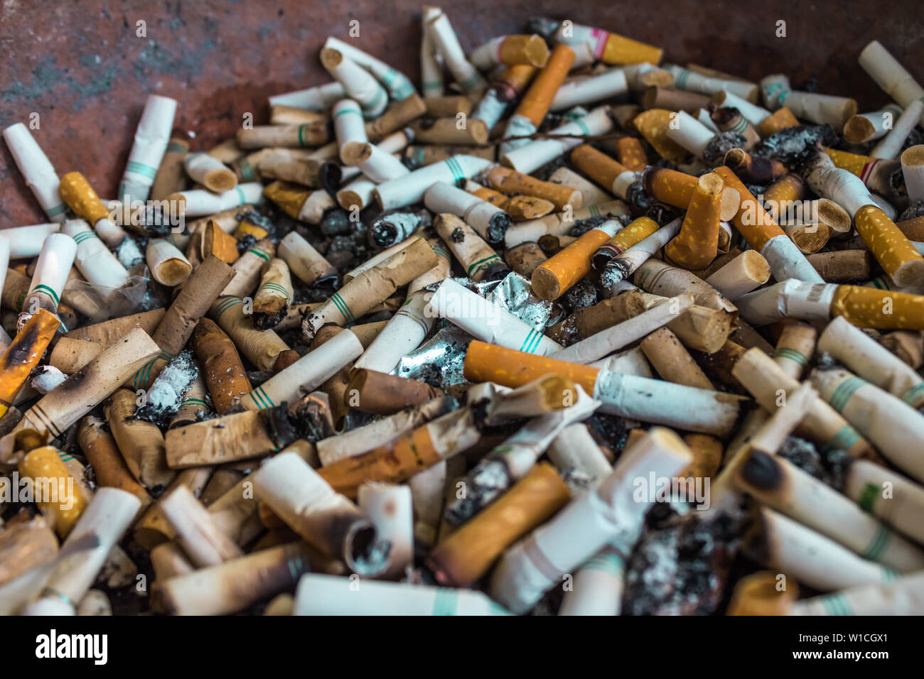 Pile of cigarette butts Stock Photo
