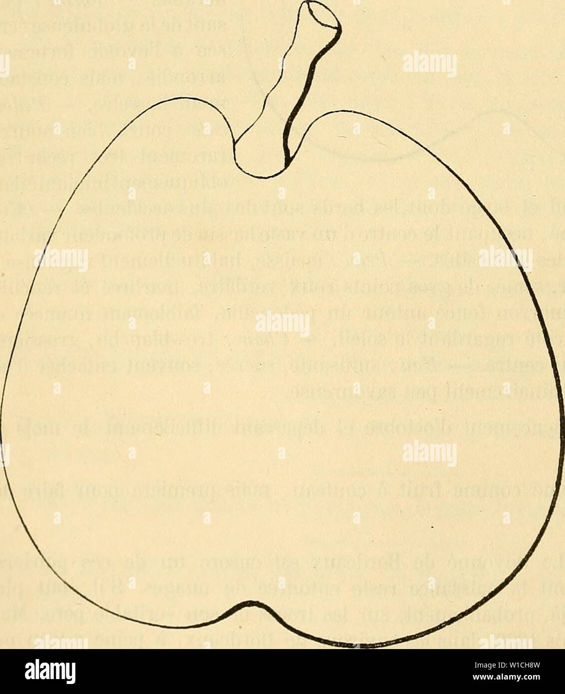 une rencontre synonyme