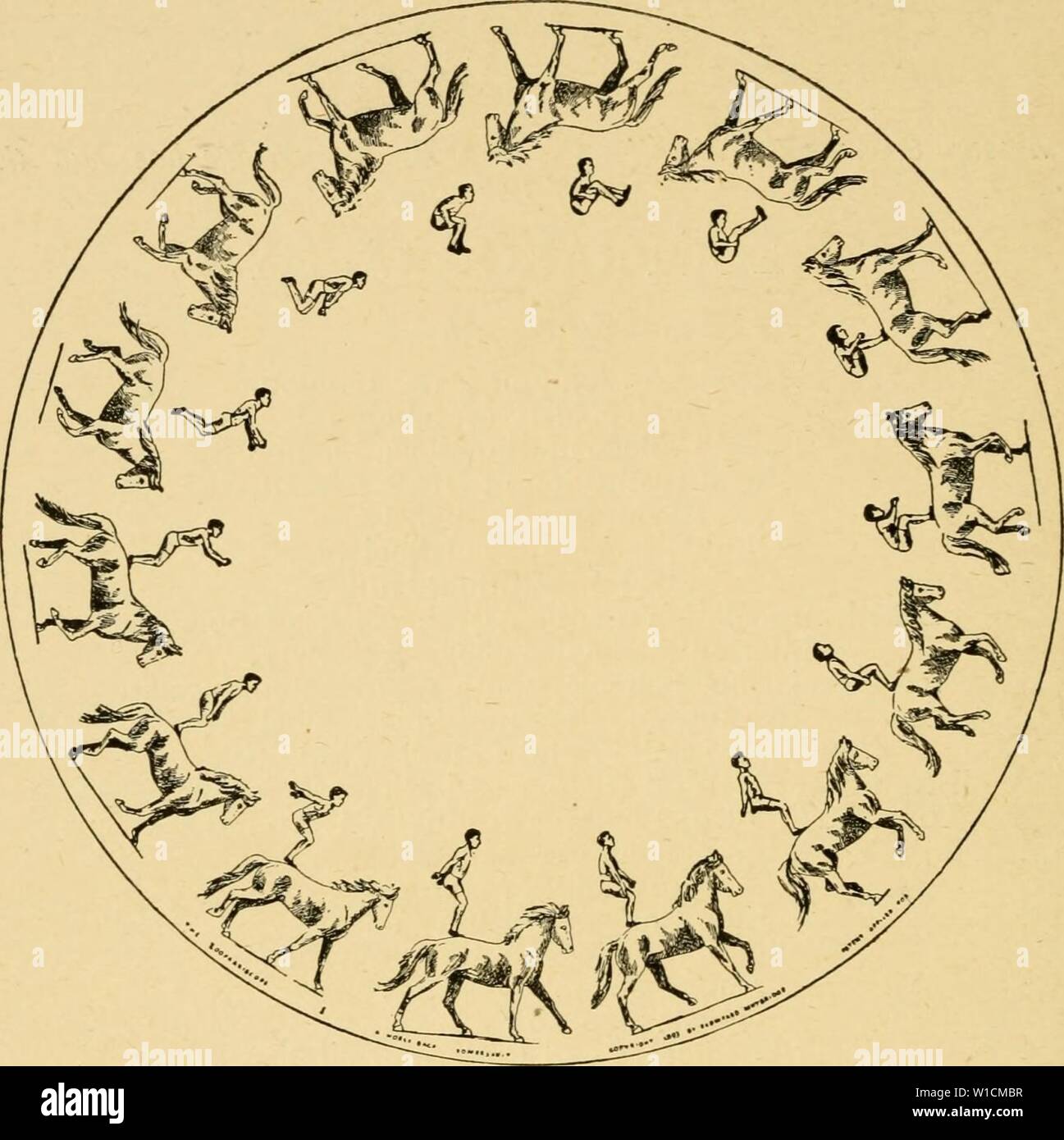 Archive image from page 69 of Descriptive zoopraxography, or, The science. Descriptive zoopraxography, or, The science of animal locomotion made popular . descriptivezoopr00muyb Year: 1893  THE ZOOPRAXISGOPE    1 Athlete, Horse-back Somersault. ABBREVIATED CRITICISMS. 'On Monday last, in the theatre of the Royal Insti- tution, a select and representative audience assembled to witness a series of the most interesting demonstrations of Animal Locomotion given by Mr. Miiybridge. 'The Prince and Princess of Wales, Princess Victo- ria, Louise, and Maud, and the Duke of Pdinburgh hon- ored the occas Stock Photo