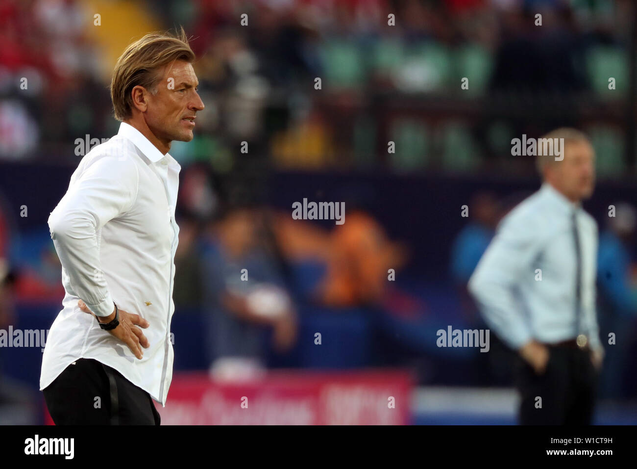 Herve Renard High Resolution Stock Photography And Images Alamy