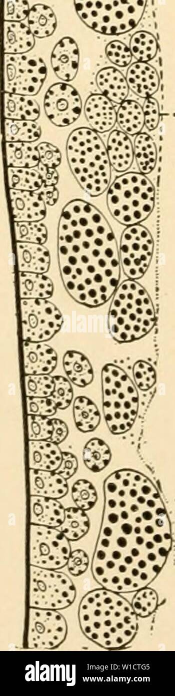 T3 03 High Resolution Stock Photography And Images Alamy