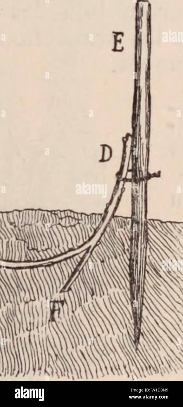 Marcottage High Resolution Stock Photography And Images Alamy Les plus adaptées à la multiplication des plantes d'intérieur sont le marcottage simple (ou par couchage), le. https www alamy com archive image from page 822 of dictionnaire dhorticulture illustr par dictionnaire dhorticulture illustr par d bois prface de maxime cornu avec la collaboration de e andr et al dictionnairedhor00bois year 1893 fig 563 marcottage par couchage dant le repos de la vgtation on supprime en tirement ou peu prs les ramifications non couches pour les vgtaux qui nont rien redouter des froids on ne fait gnralement le sevrage quaprs lhiver sauf si lon a quelque inqui tude sur leur rsistance abriter les mar cottes au moyen de litire f image259056149 html