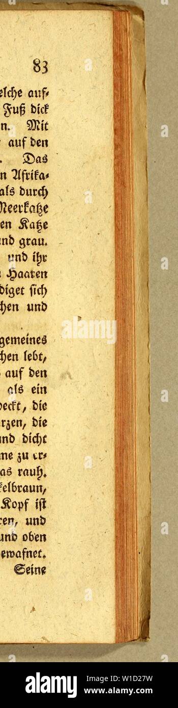 Archive image from page 86 of Des Herrn Abts Vidaure Kurzgefasste. Des Herrn Abts Vidaure Kurzgefasste geographische, natürliche und bürgerliche Geschichte des Königreichs Chile, . desherrnabtsvida00moli Year: 1782  ifjm getfe ju cfynnmmenpofffern, tt&gt;efcf&gt;c auf gebfafen 5 :6{S 6 §uf$ fang unb jwet) u bccf ftnb, unb aneinanber gebunben werben SOJit biefen erfüfjneu ftcf) bte Snbianar fogar auf bert gifcfjfang in 9D?eet ju fcwimmem £&gt;a3 Sßaüroj} ift om £ippopotamo$, ba$ in llftita nifcfyen Stuften febt, nicfjt untergeben, ate burcf&gt; etneSSUfme, bte e$ am $afe tragt ®ieD?eetfaße tjl Stock Photo