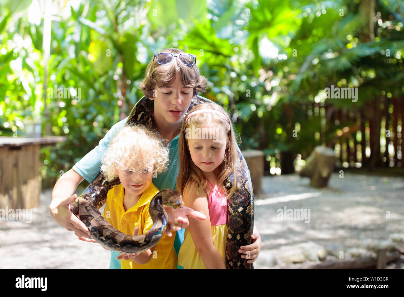 Kids holding python snake in tropical zoo. Children watching exotic ...