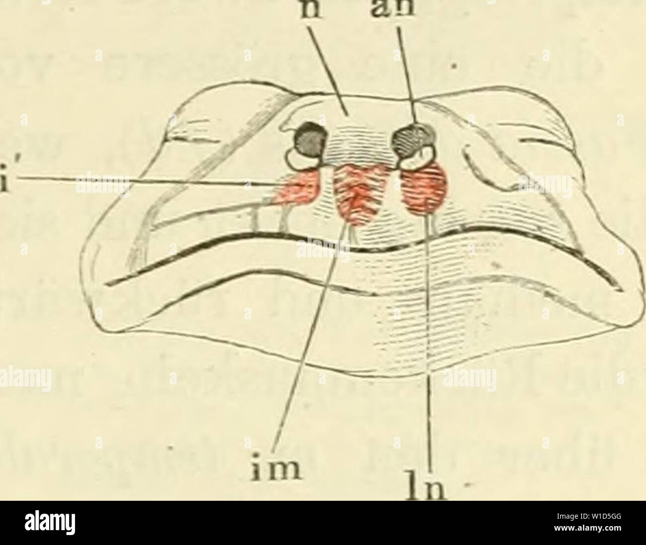 18 90 High Resolution Stock Photography And Images Alamy 18 90 High Resolution Stock Photography And Images Alamy
