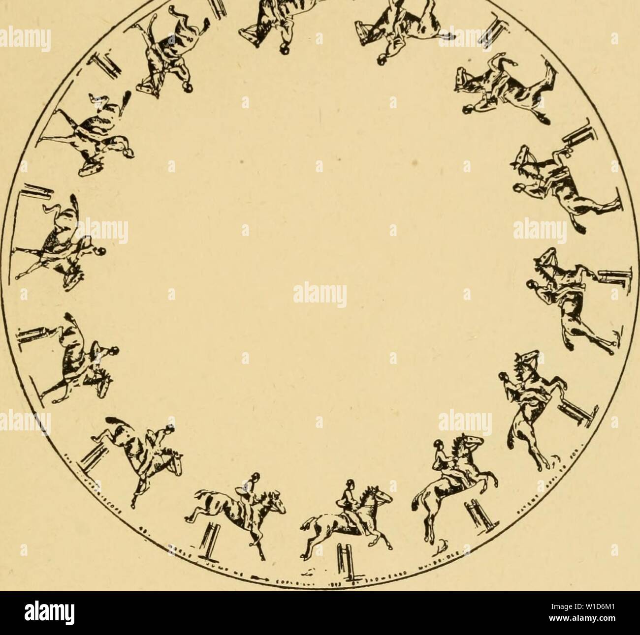 Archive image from page 92 of Descriptive zoopraxography, or, The science Stock Photo