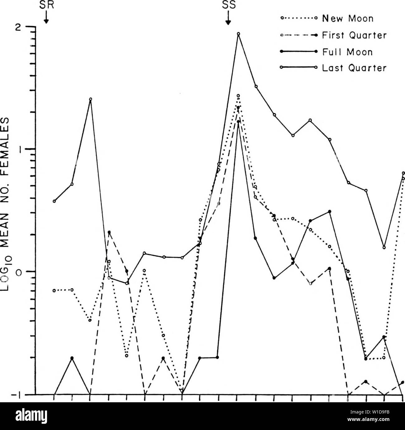 Archive image from page 95 of Diel and seasonal activities of. Diel and seasonal activities of Culicoides spp. Near Yankeetown, Florida . dielseasonalacti00lill Year: 1985  84    6 8 10 12 14 COLLECTION PERIOD 16 18 20 Figure 25. Diel periodicity of C . furens females collected in a vehicle-mounted trap on quarter phases of moon in the fall. Stock Photo