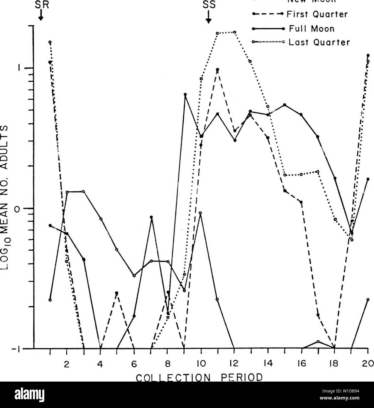 Archive image from page 98 of Diel and seasonal activities of. Diel and seasonal activities of Culicoides spp. Near Yankeetown, Florida . dielseasonalacti00lill Year: 1985  87 New Moon First Quarter Full Moon Last Quarter    6 8 10 COLLECTION Figure 27. Diel periodicity of C. floridensis adults collected in a vehicle-mounted trap on quarter phases of moon. Stock Photo