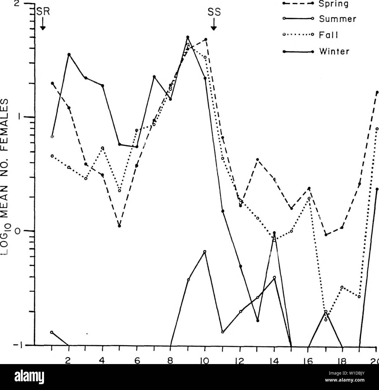 Archive image from page 99 of Diel and seasonal activities of. Diel and seasonal activities of Culicoides spp. Near Yankeetown, Florida . dielseasonalacti00lill Year: 1985  88 • • Spring Summer    T r 6 8 10 12 14 COLLECTION PERIOD 18 20 Figure 28. Diel host-seeking activity of C. mississippiensis during different seasons. Stock Photo