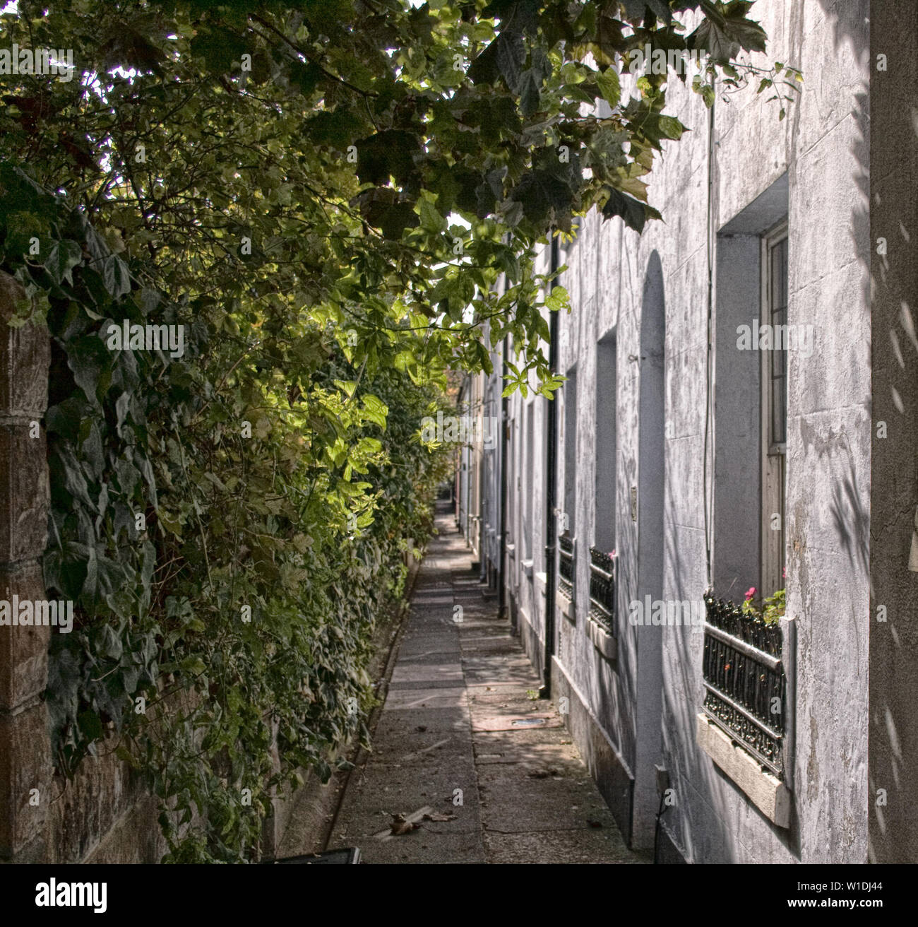 A Brighton Back Alley Stock Photo Alamy