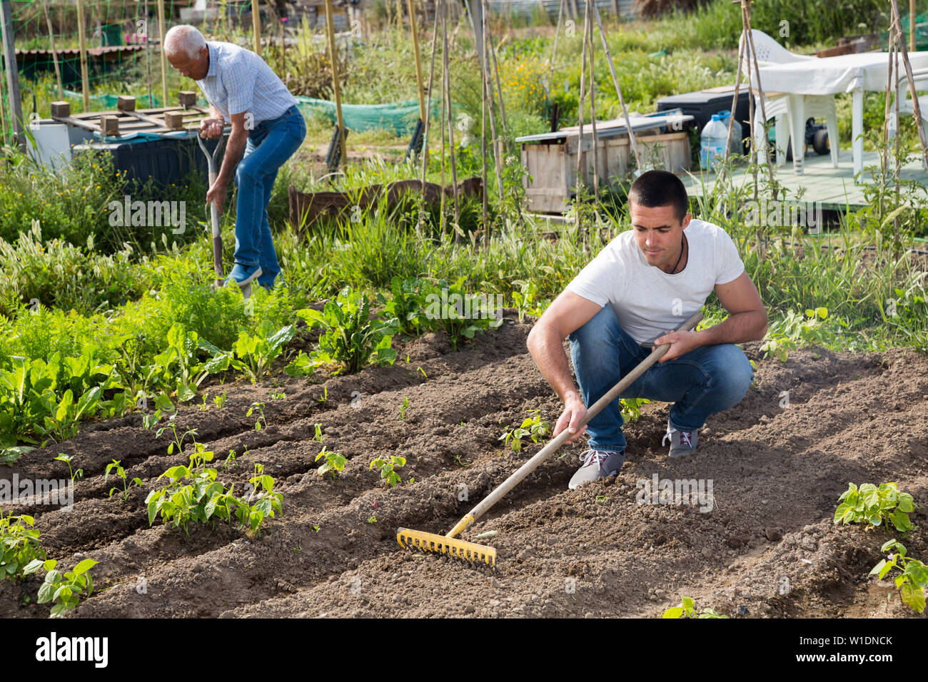Making A Land Rake People cultivate land rake hi-res stock photography and images - Alamy