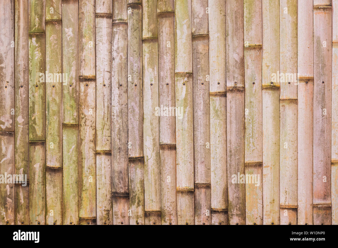 Old Bamboo Texture Background Stock Photo Alamy