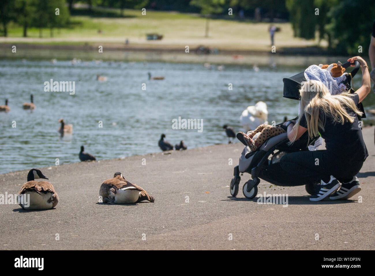 Londoners enjoying the hot weather at London’s Regent's Park. Featuring