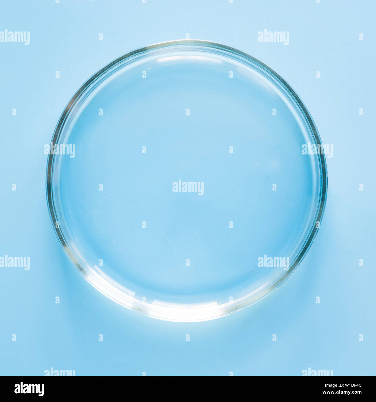 Empty petri dish in laboratory on blue. Chemical experiment. Close ...
