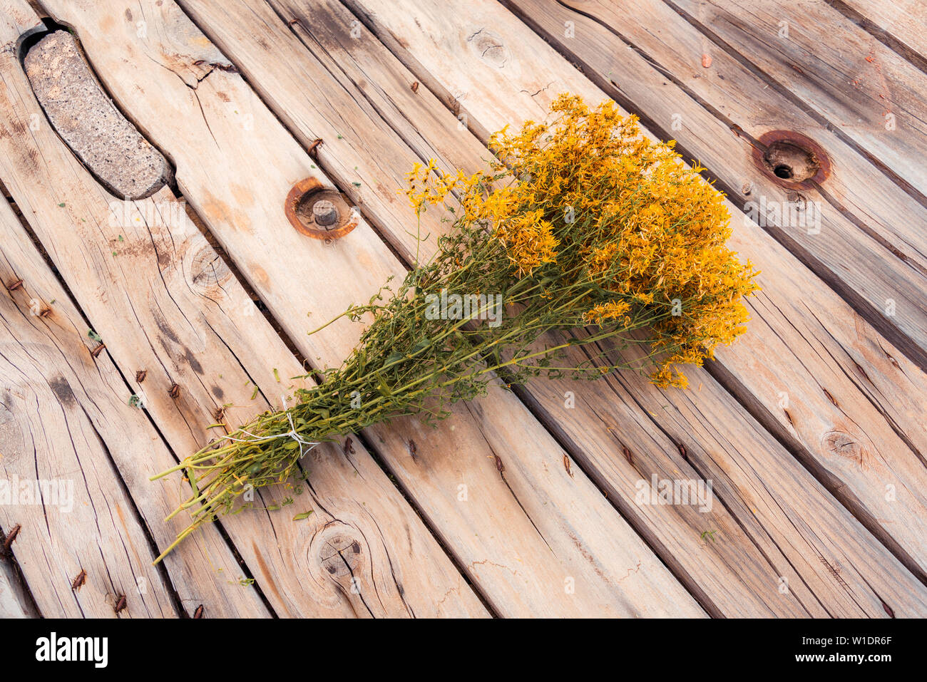 A dried bucket of St John's wort (Perforatum hypericum) with yellow flowers and green stems laid on a old rustic cable drum venverted into a table. Stock Photo
