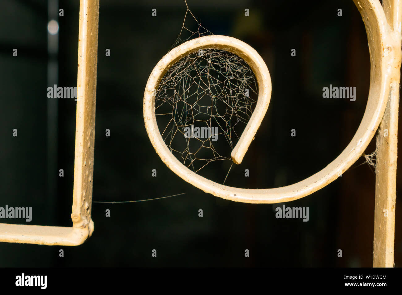 close up of a spider web in a window with a dark blurred background. Stock Photo