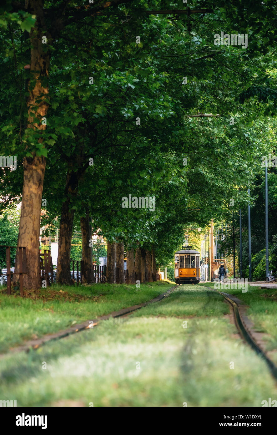 Old red city tram goes through green tunnel in dense forest in Milan, Italy Stock Photo