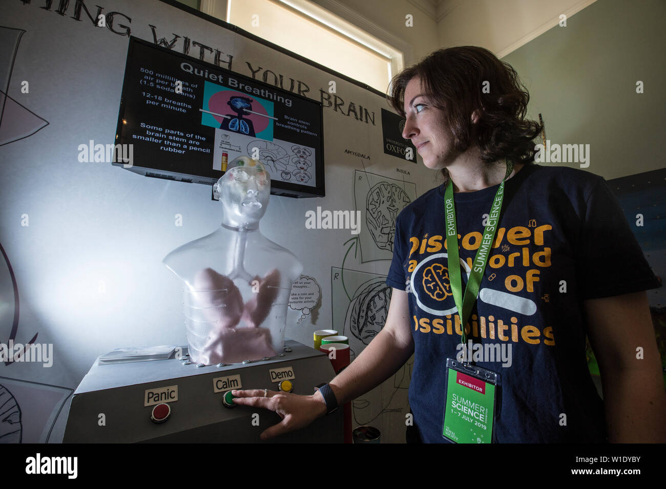 Royal Society Summer Science Exhibition, 3D printed model of human lung and brain, exploring how the brain influences the breathing process. Stock Photo