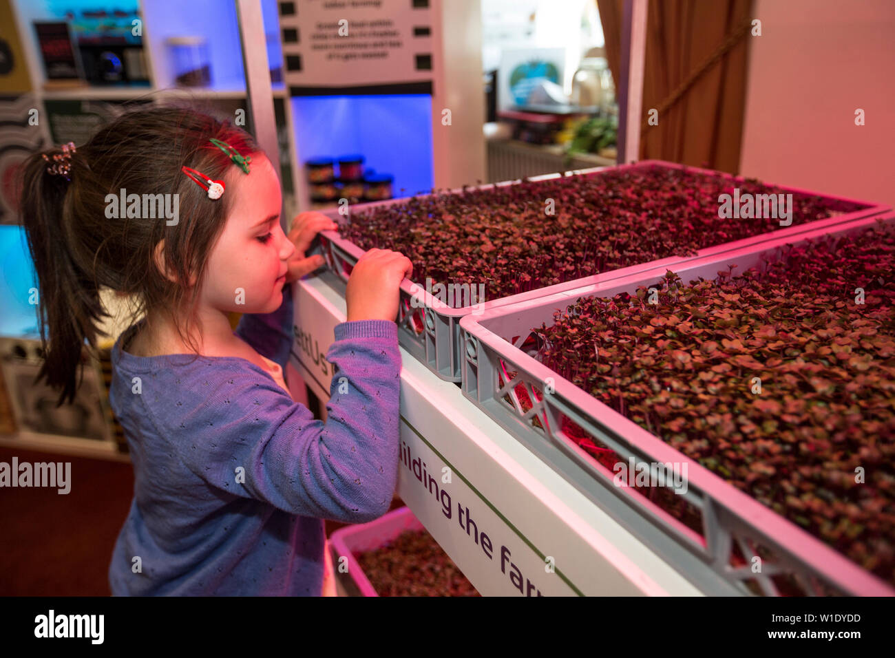 Royal Society Summer Science Exhibition, LettUsGrow exhibit of