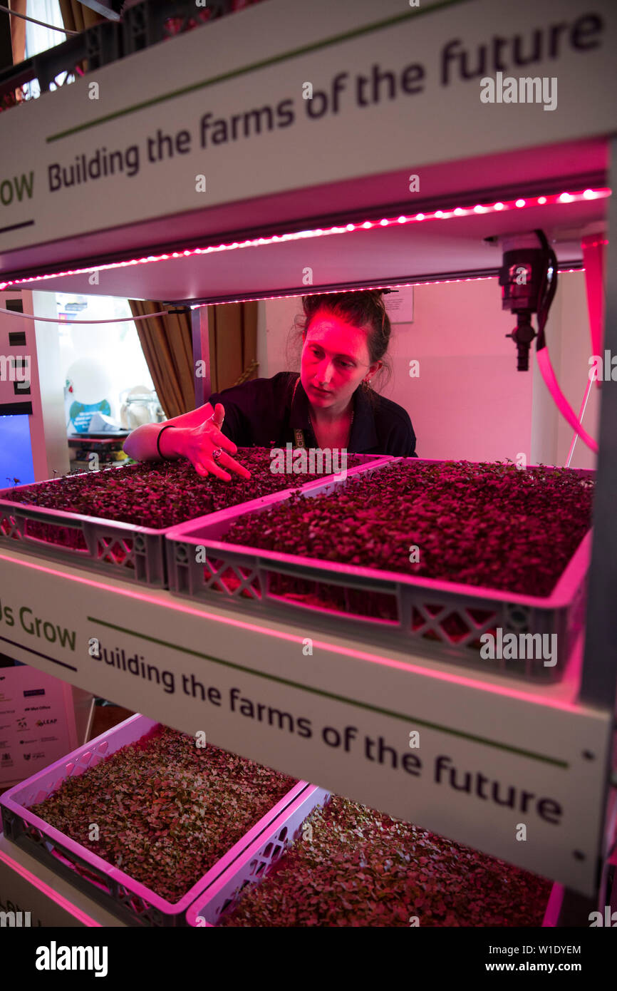 Royal Society Summer Science Exhibition, LettUsGrow exhibit of