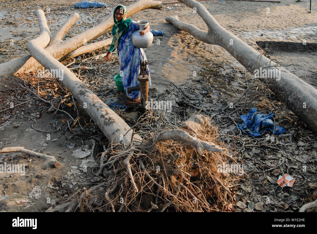 BANGLADESH, cyclone Sidr and high tide destroy villages in Southkhali in District Bagerhat , woman fetch water from well beside upooted trees / BANGLADESCH, der Wirbelsturm Zyklon Sidr und eine Sturmflut zerstoeren Doerfer im Kuestengebiet von Southkhali Stock Photo