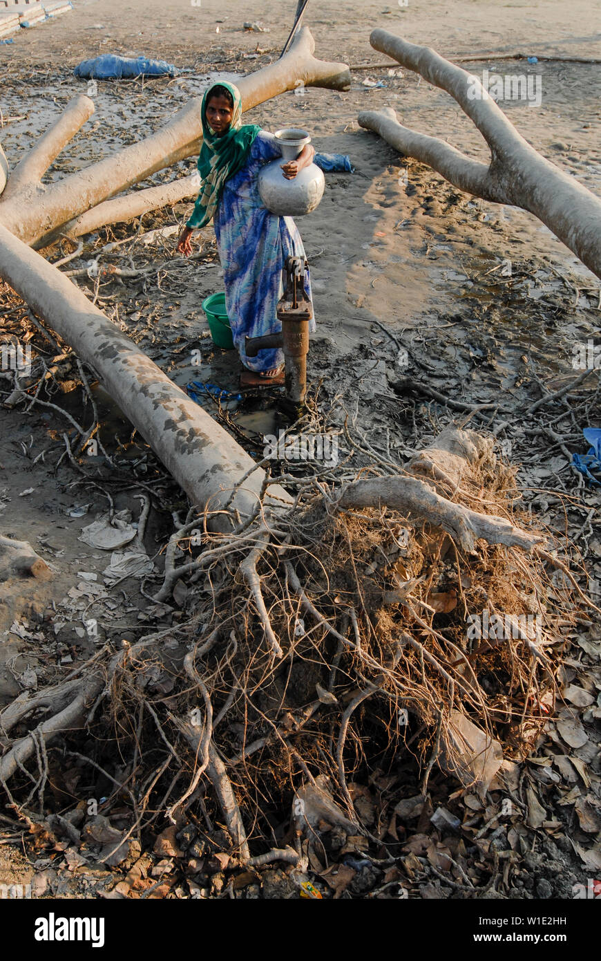 BANGLADESH, cyclone Sidr and high tide destroy villages in Southkhali in District Bagerhat , woman fetch water from well beside upooted trees / BANGLADESCH, der Wirbelsturm Zyklon Sidr und eine Sturmflut zerstoeren Doerfer im Kuestengebiet von Southkhali Stock Photo