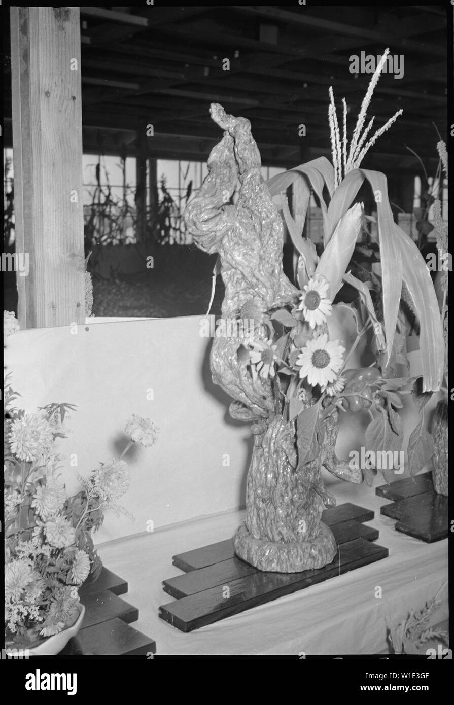 Granada Relocation Center, Amache, Colorado. Display of flower and vegetable arrangement at the Ama . . .; Scope and content:  The full caption for this photograph reads: Granada Relocation Center, Amache, Colorado. Display of flower and vegetable arrangement at the Amache Agricultural Fair September 11 and 12. Stock Photo