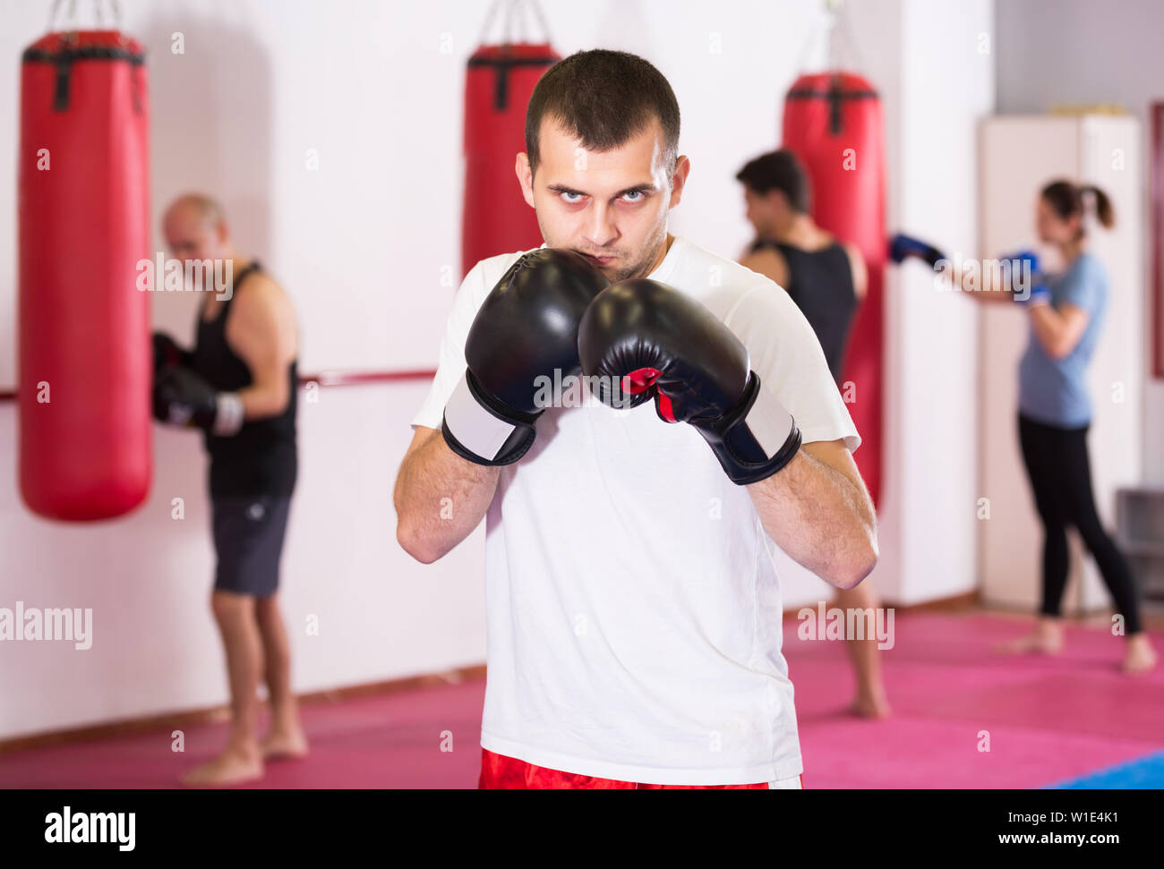 Young boxer trains in boxing gloves in the gym Stock Photo Alamy