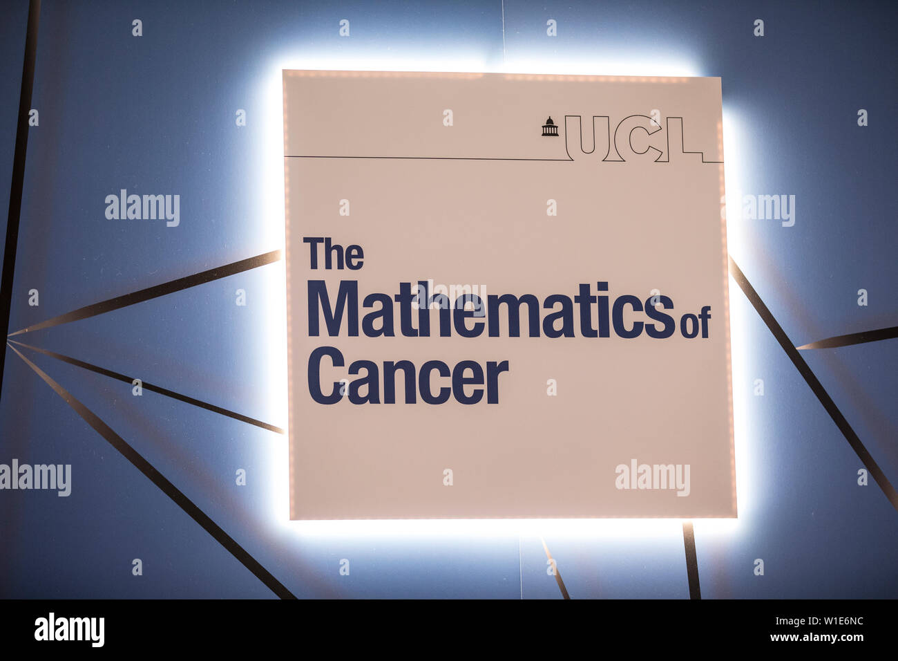 Royal Society Summer Science Exhibition, The Mathematics of Cancer, mathematical modelling providing insight into complex structures of tumours. Stock Photo