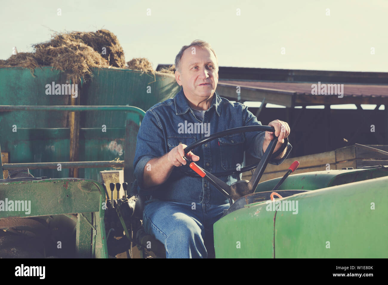 Portrait of serious male farmer sitting in tractor Stock Photo - Alamy