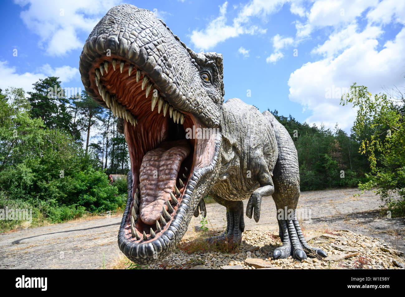 Rehburg Loccum Germany 02nd July 2019 A Model Of A Tyrannosaurus Rex Predatory Dinosaur Can Be Found In The Dinopark Munchehagen Under The Exhibition Title The Big 5 Dinopark Presents Five Spectacular Predatory